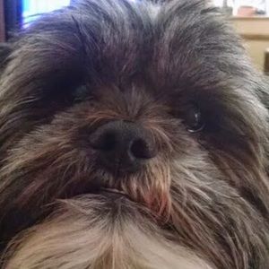 Meet your Posher, Paula